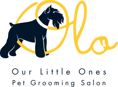 Olo1